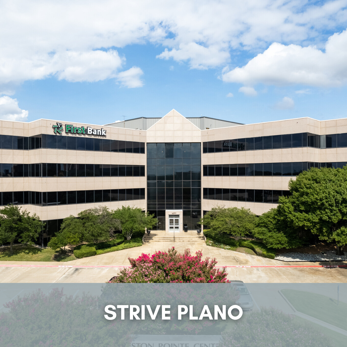 STRIVE PLANO